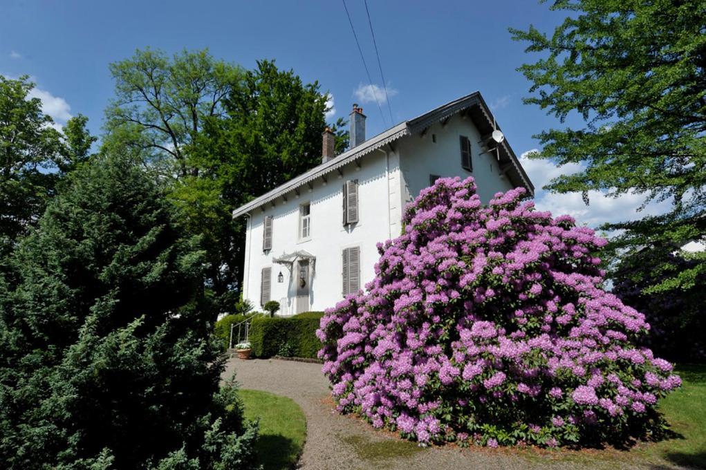 La Maison D'Hotes Du Parc Ronchamp Exteriér fotografie